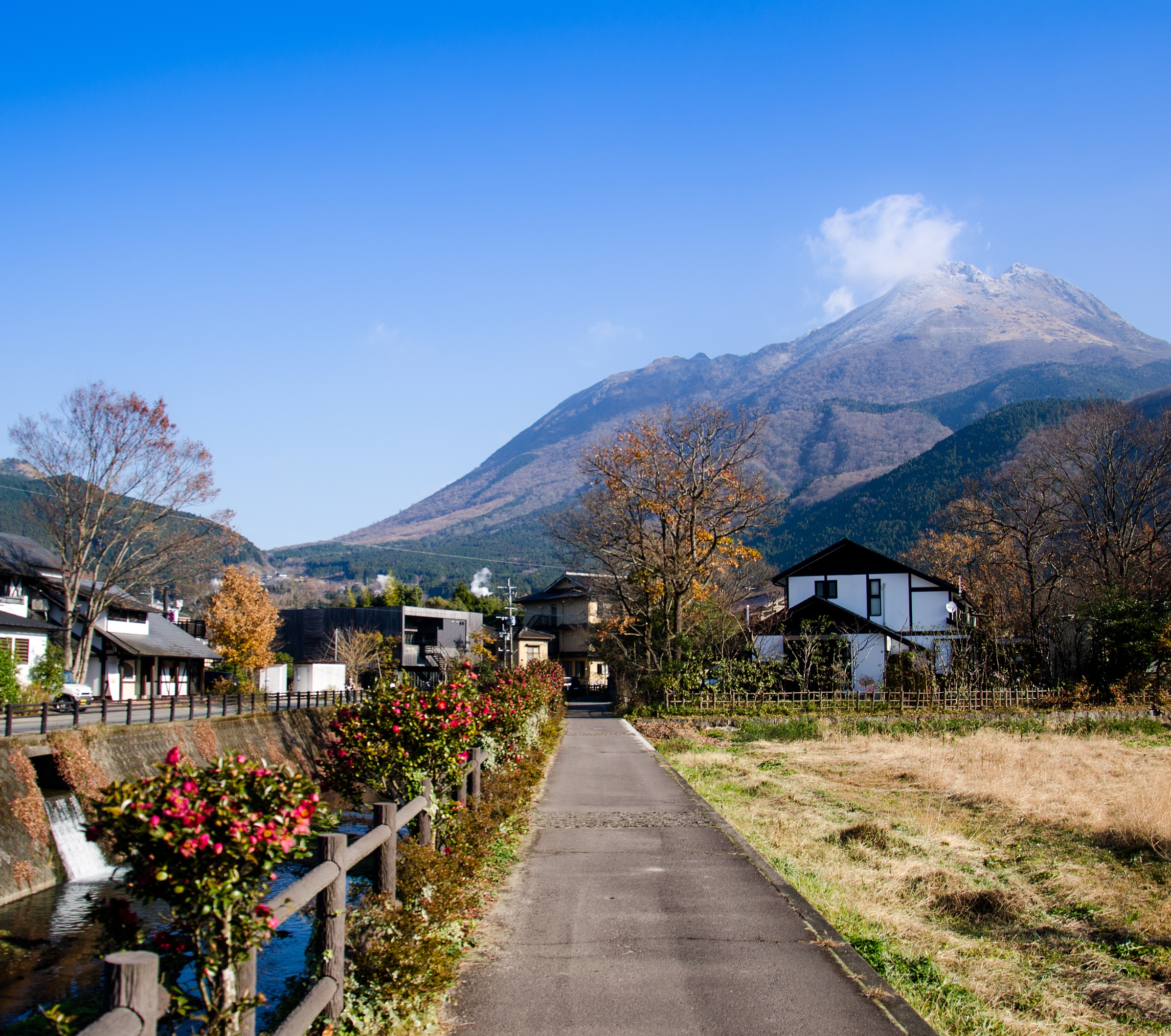 1/31 日本最大吊橋~九重夢大橋→日本百大名瀑~震動瀑布→湯布院藝術小鎮→金鱗湖森林小徑→享用溫泉飯店